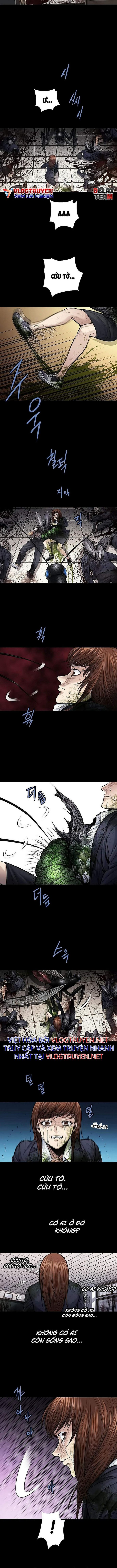 Đọc truyện Hive - Thảm họa ong độc - Chap 246